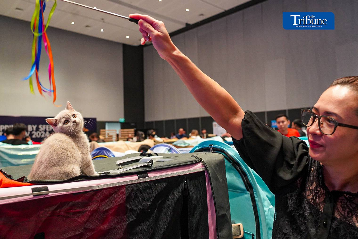 Cat enthusiasts and pet owners visit the 1st WCF Philippines World Show held at One Ayala in Makati. The show runs from 14 to 15 June 2024.